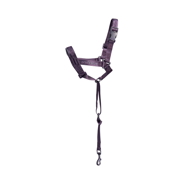 Midnight Walker Dog Headcollar 𝔎𝔦𝔰𝔰 𝔬𝔣 𝔇𝔯𝔞𝔠𝔲𝔩𝔞