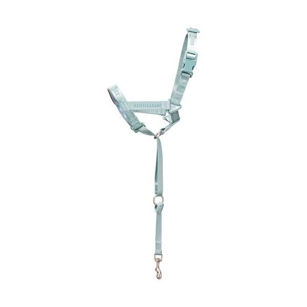 DAY-LIGHT Aqua Marina Dog Headcollar