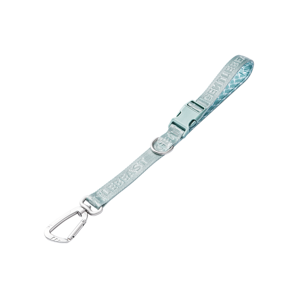 DAY-LIGHT Aqua Marina Short Leash