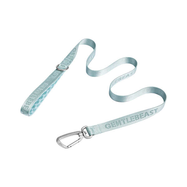 DAY-LIGHT Aqua Marina Dog Leash