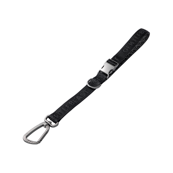 Midnight Walker Moonless Night Short Leash