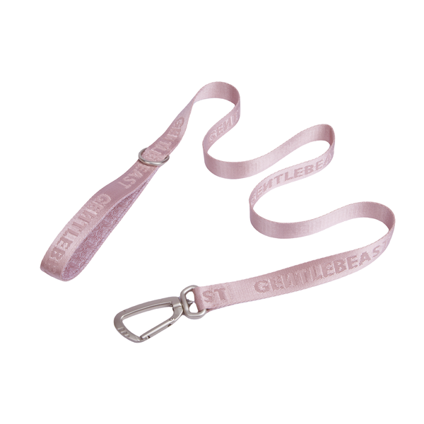 DAY-LIGHT Ash Rose Dog Leash