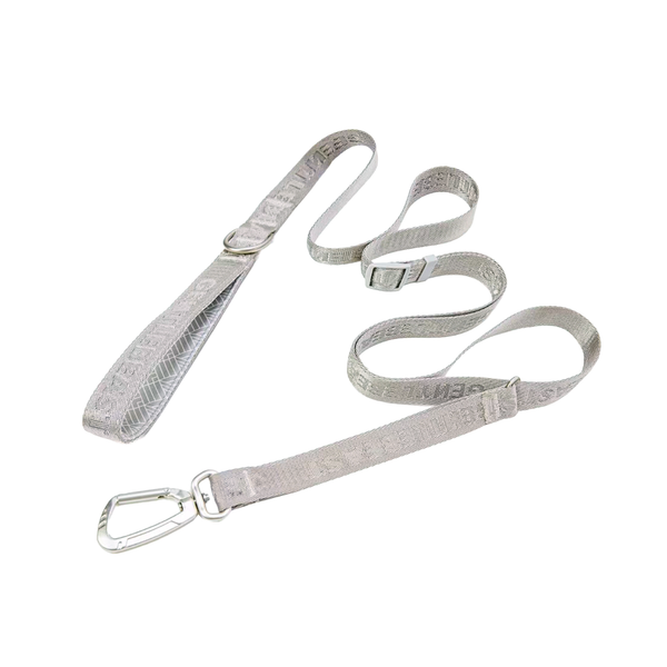 Midnight Walker Silvermoon Dog Leash