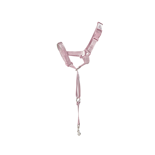 DAY-LIGHT Ash Rose Dog Headcollar