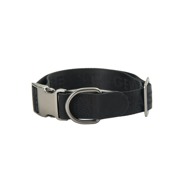 Midnight Walker Moonless Night Dog Collar