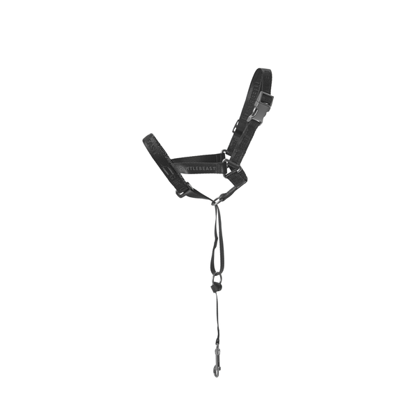Midnight Walker Moonless Night Dog Headcollar