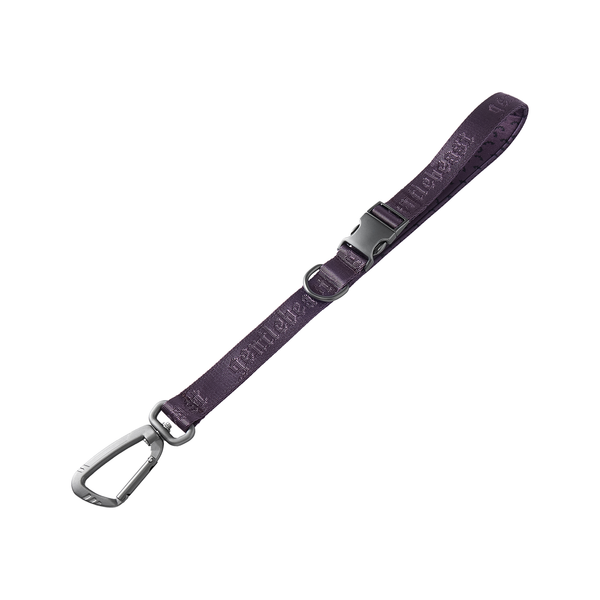 Midnight Walker Short Leash 𝔎𝔦𝔰𝔰 𝔬𝔣 𝔇𝔯𝔞𝔠𝔲𝔩𝔞