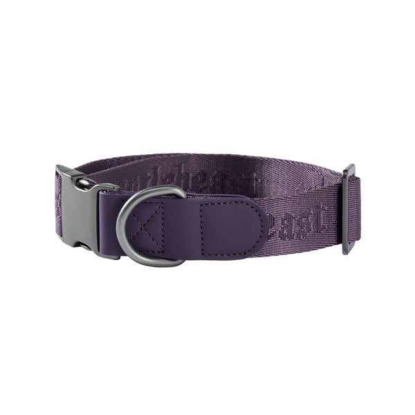 Midnight Walker Dog Collar Kiss of Dracula 𝔎𝔦𝔰𝔰 𝔬𝔣 𝔇𝔯𝔞𝔠𝔲𝔩𝔞