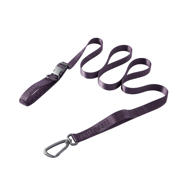 Midnight Walker Freehand Dog Leash 𝔎𝔦𝔰𝔰 𝔬𝔣 𝔇𝔯𝔞𝔠𝔲𝔩𝔞