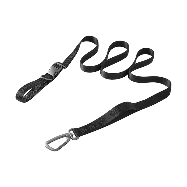 Midnight Walker Freehand Dog Leash Moonless Night