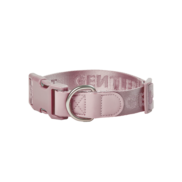 DAY-LIGHT Ash Rose Dog Collar