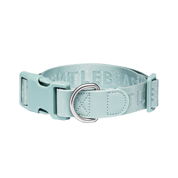 DAY-LIGHT Aqua Marina Dog Collar