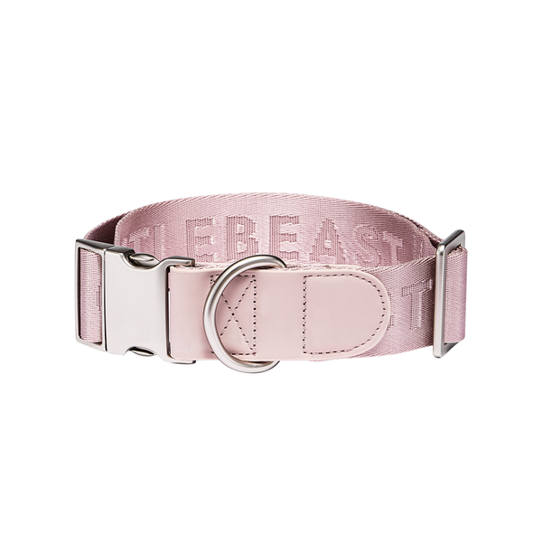 DAY-LIGHT Ash Rose Dog Collar XL