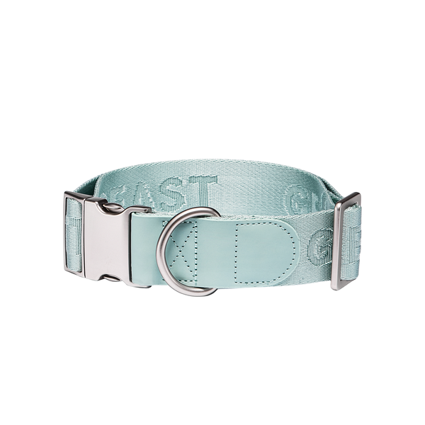 DAY-LIGHT Aqua Marina Dog Collar XL