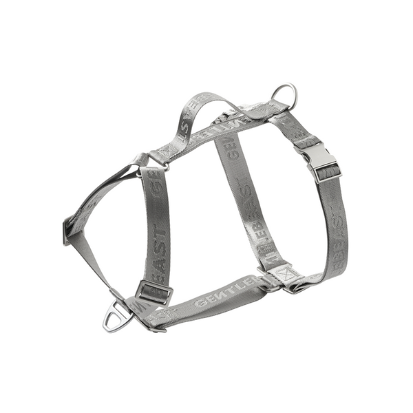 Midnight Walker Harness