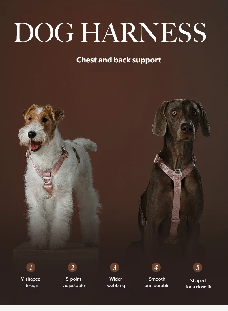 DAY-LIGHT Dog Harness – Ash Rose detail image 2