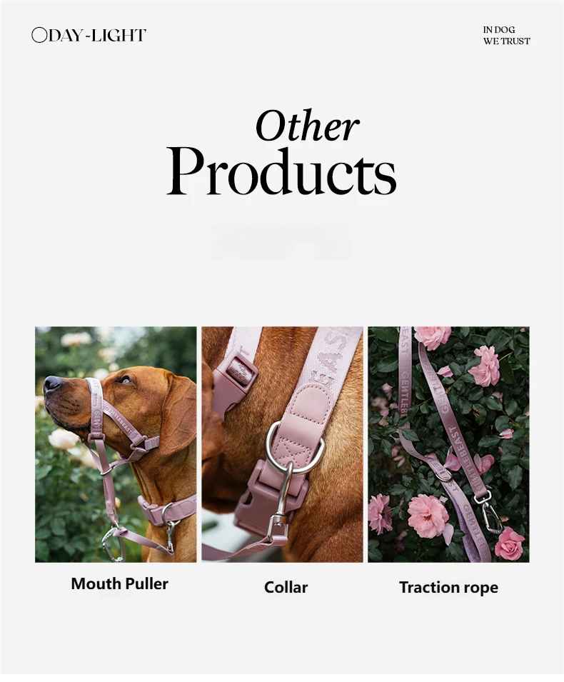DAY-LIGHT Dog Harness – Ash Rose detail image 3