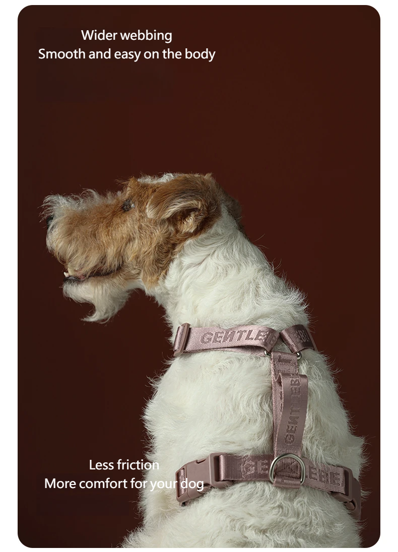 DAY-LIGHT Dog Harness – Ash Rose detail image 5