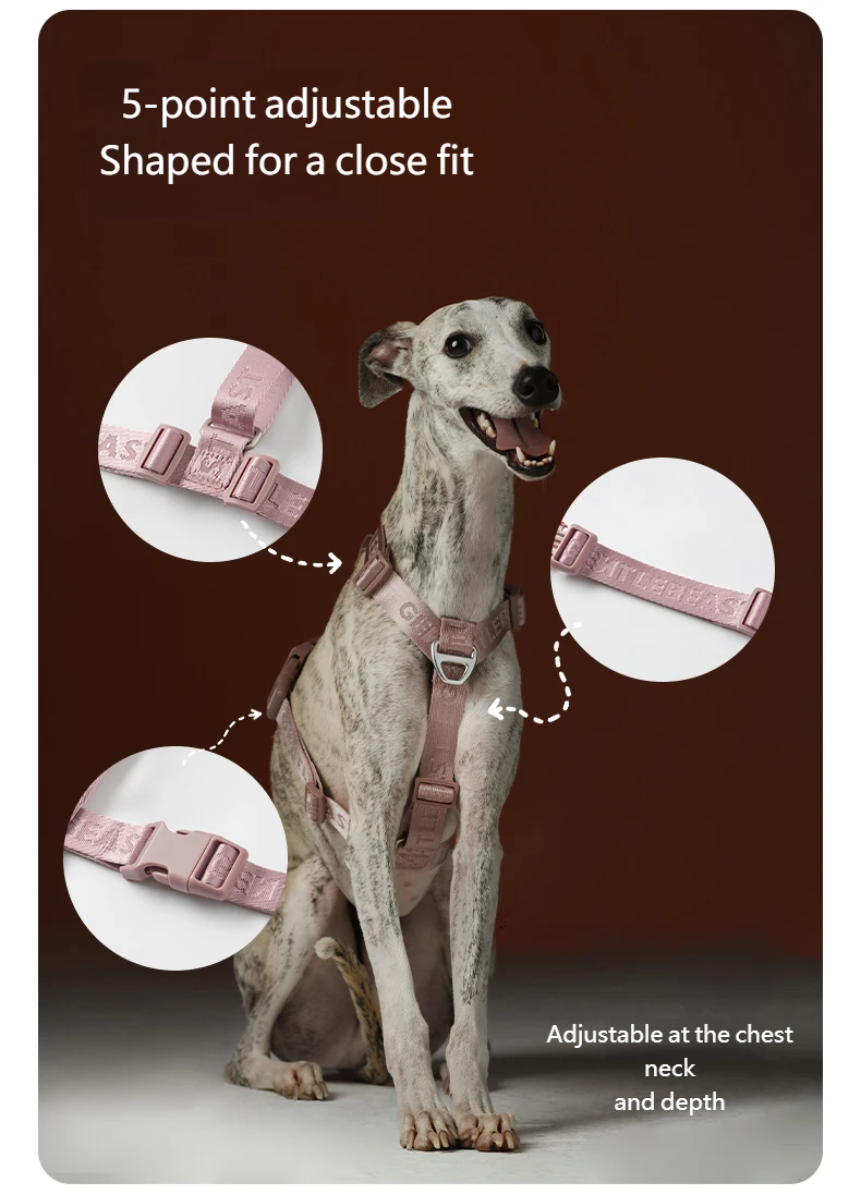 DAY-LIGHT Dog Harness – Ash Rose detail image 6