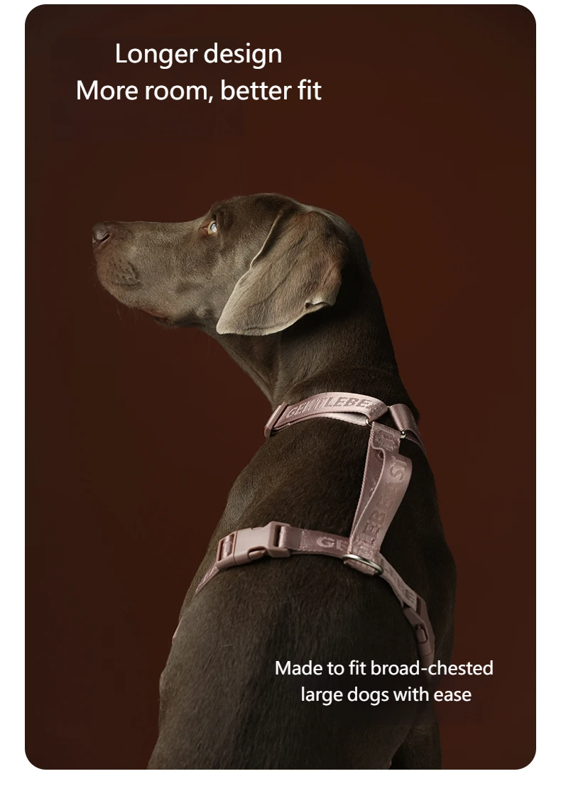 DAY-LIGHT Dog Harness – Ash Rose detail image 7