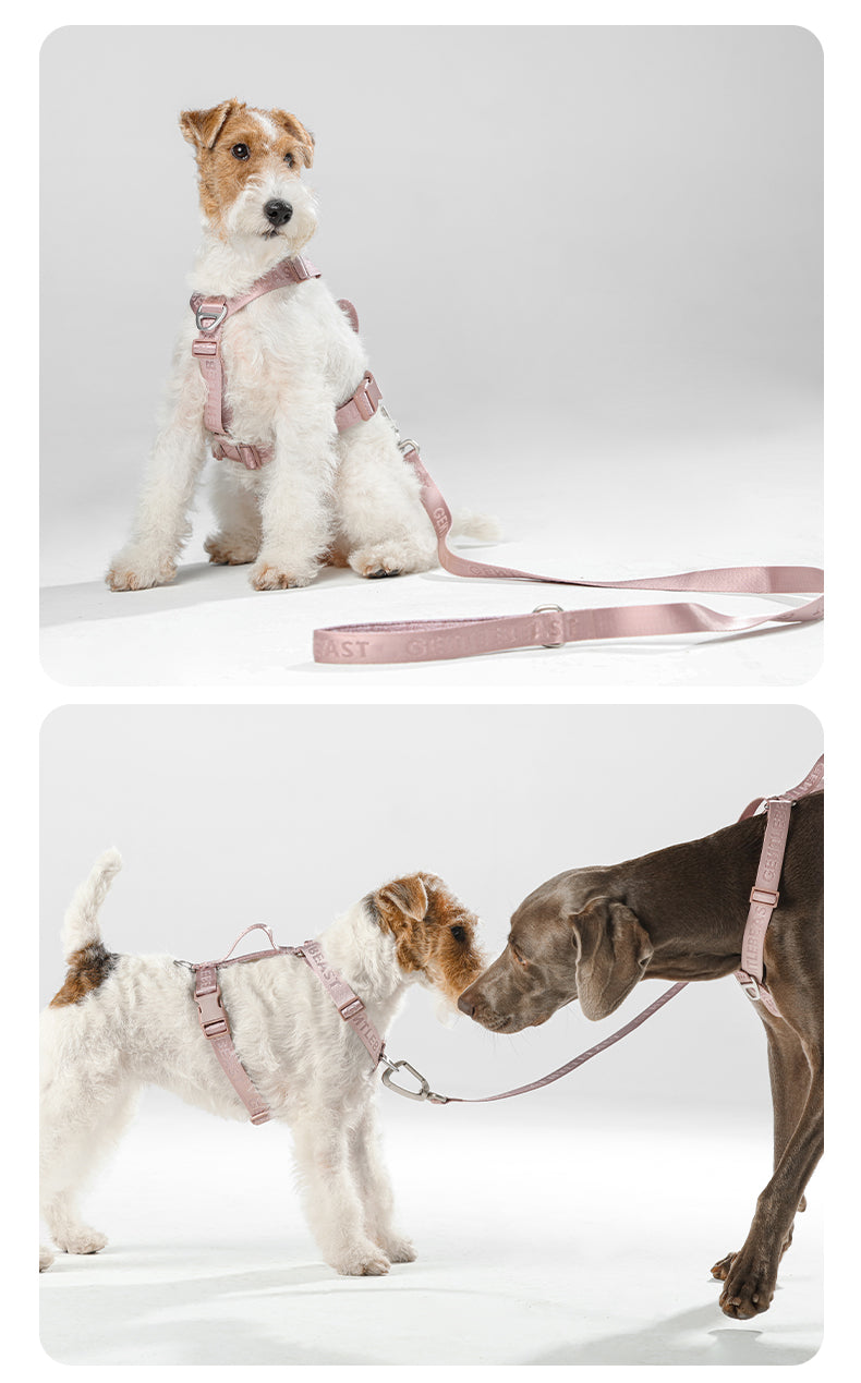 DAY-LIGHT Dog Harness – Ash Rose detail image 9