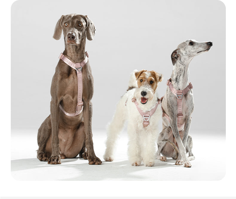 DAY-LIGHT Dog Harness – Ash Rose detail image 10