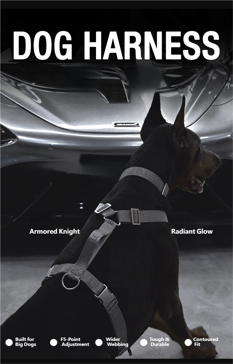 Midnight Walker Dog Harness – Silver Moon detail image 3