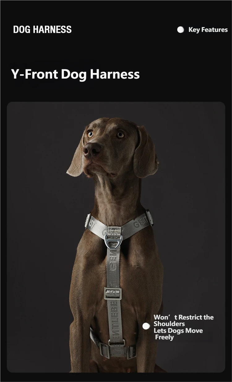 Midnight Walker Dog Harness – Silver Moon detail image 5