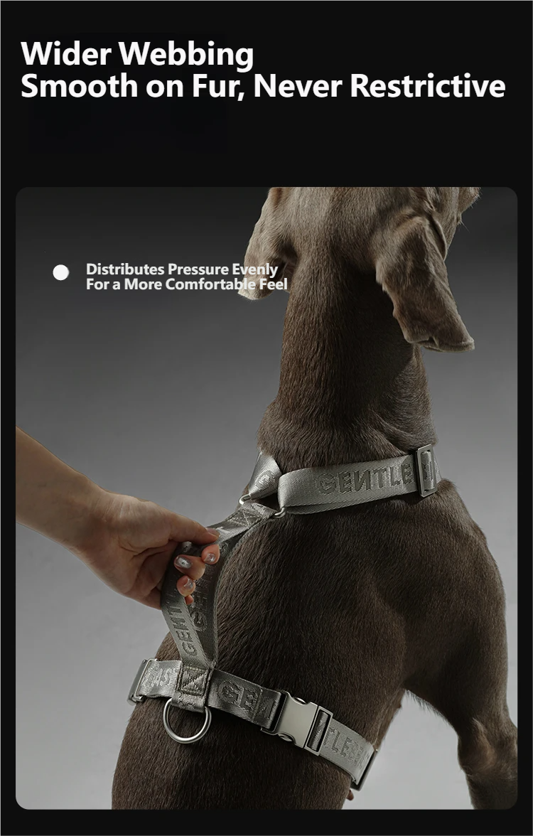 Midnight Walker Dog Harness – Silver Moon detail image 6