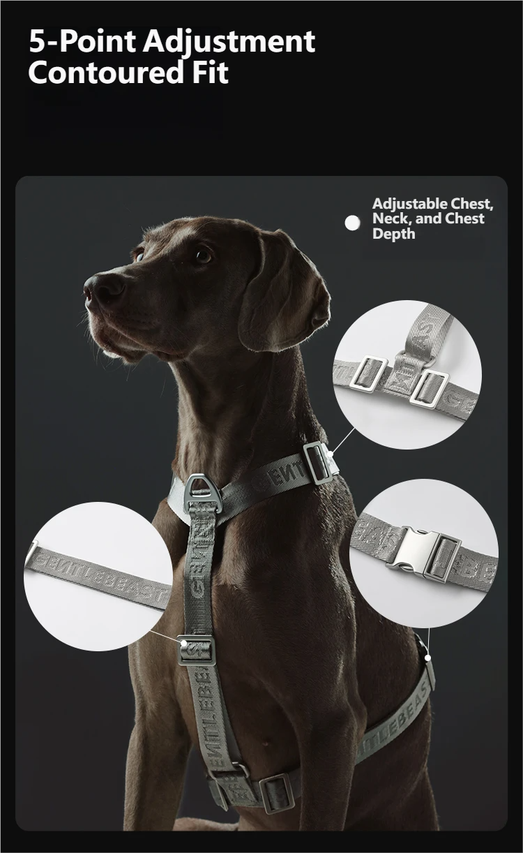 Midnight Walker Dog Harness – Silver Moon detail image 7