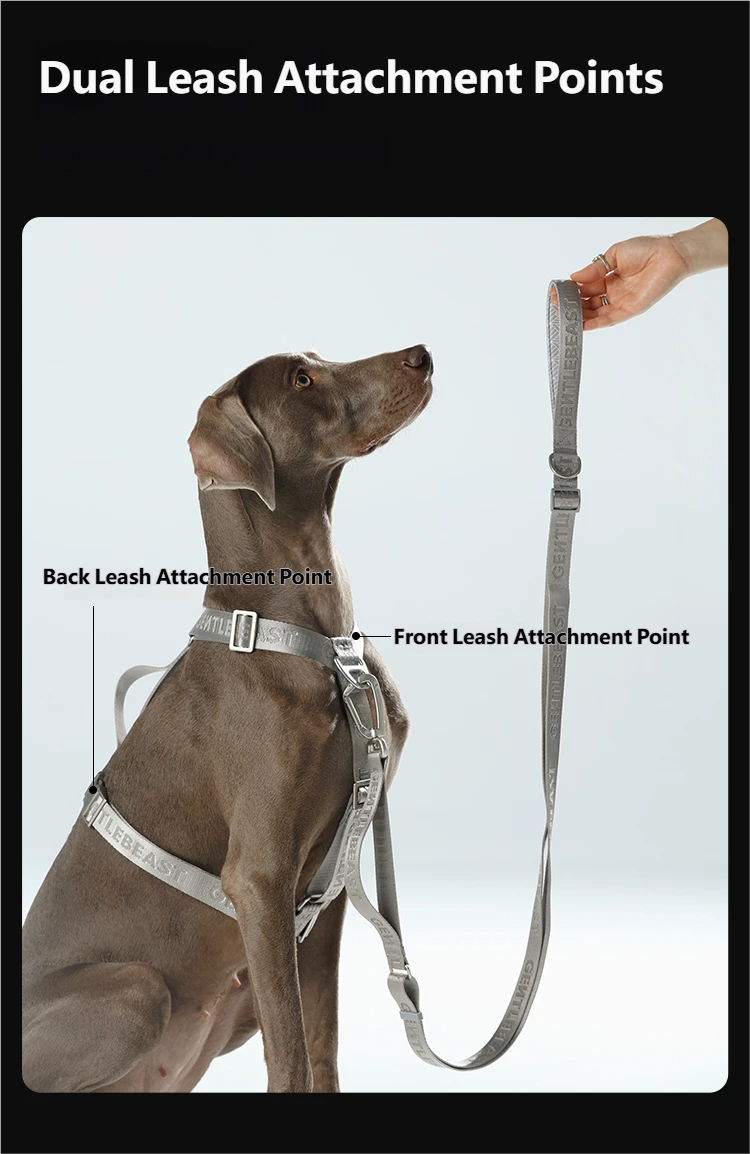 Midnight Walker Dog Harness – Silver Moon detail image 8