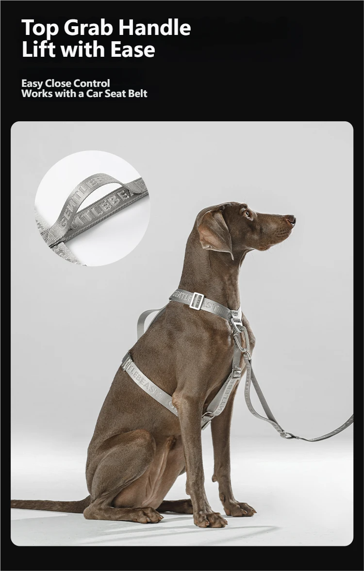 Midnight Walker Dog Harness – Silver Moon detail image 9