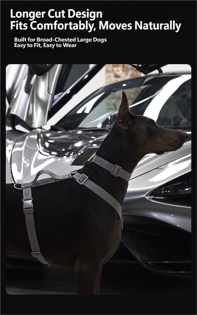 Midnight Walker Dog Harness – Silver Moon detail image 10