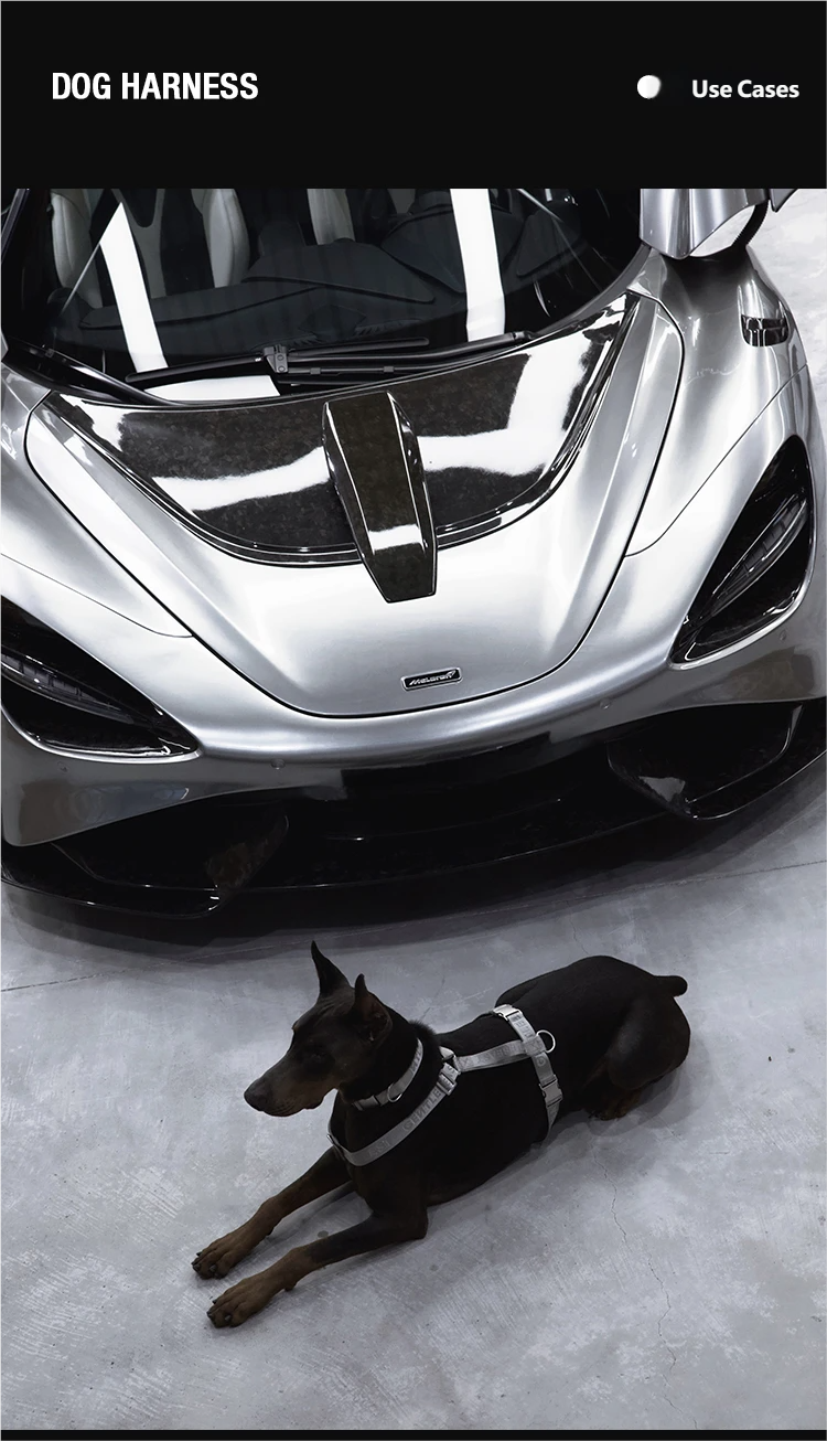 Midnight Walker Dog Harness – Silver Moon detail image 11