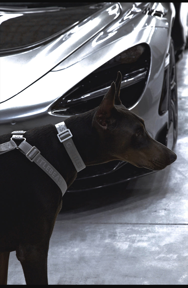Midnight Walker Dog Harness – Silver Moon detail image 12
