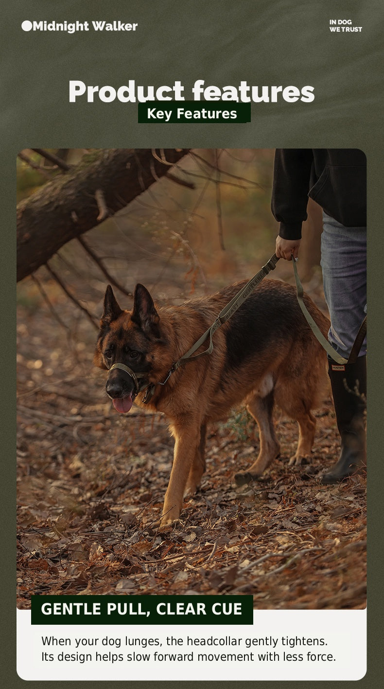 Midnight Walker Dog Leash – Hidden Forest detail image 4