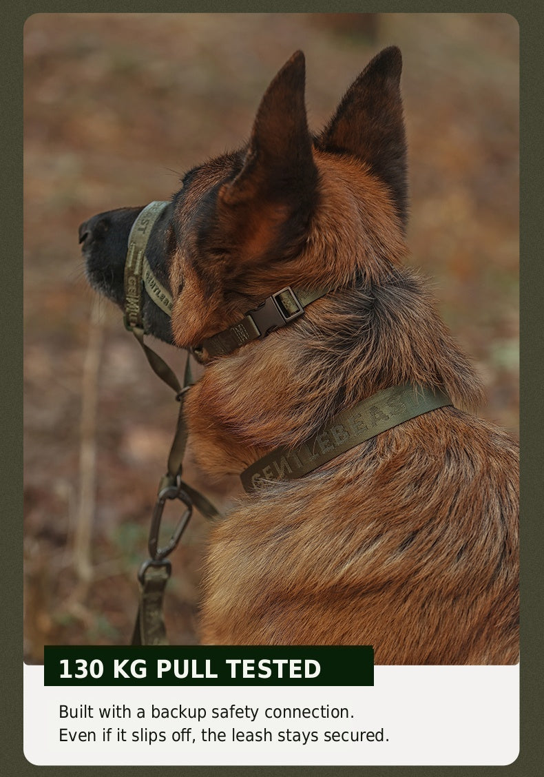 Midnight Walker Dog Leash – Hidden Forest detail image 6