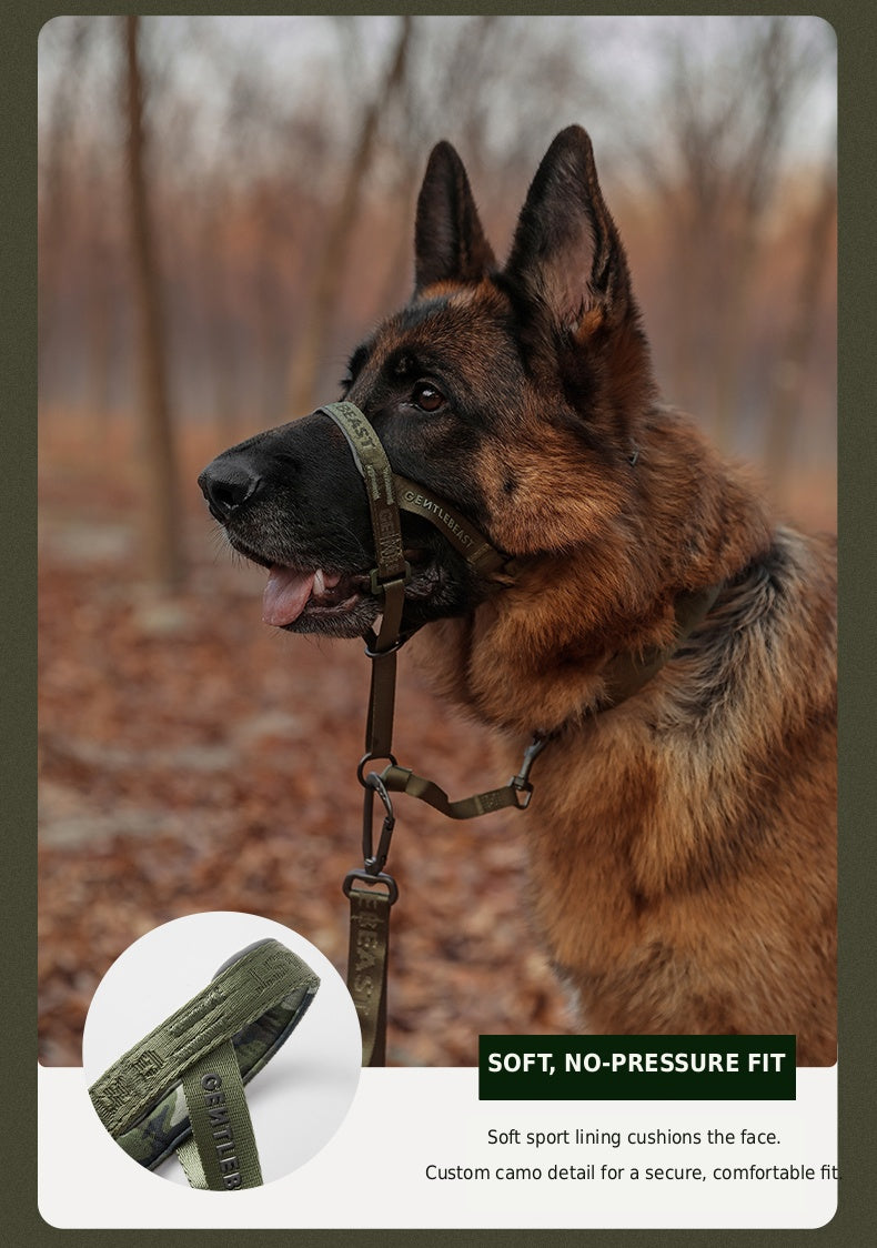 Midnight Walker Dog Leash – Hidden Forest detail image 7