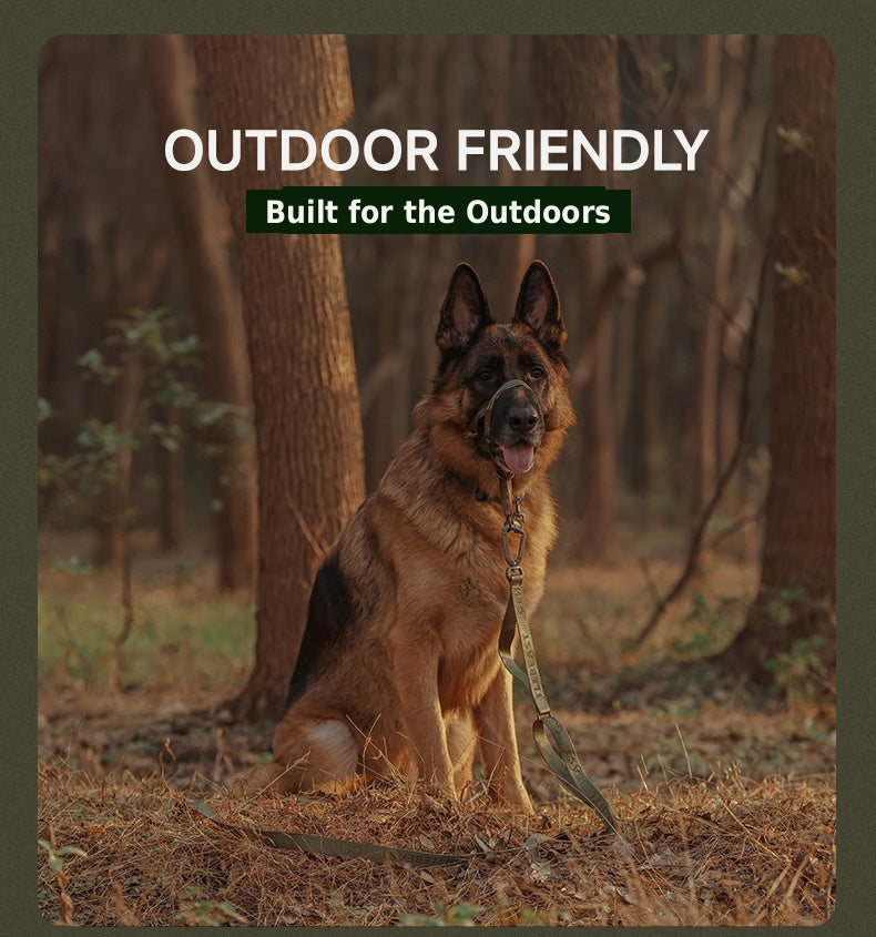Midnight Walker Dog Leash – Hidden Forest detail image 9