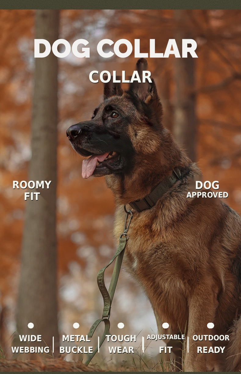 Midnight Walker Dog Leash – Hidden Forest detail image 16