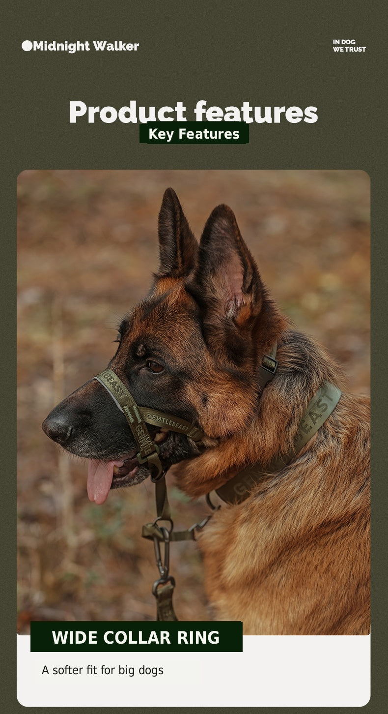 Midnight Walker Dog Leash – Hidden Forest detail image 17