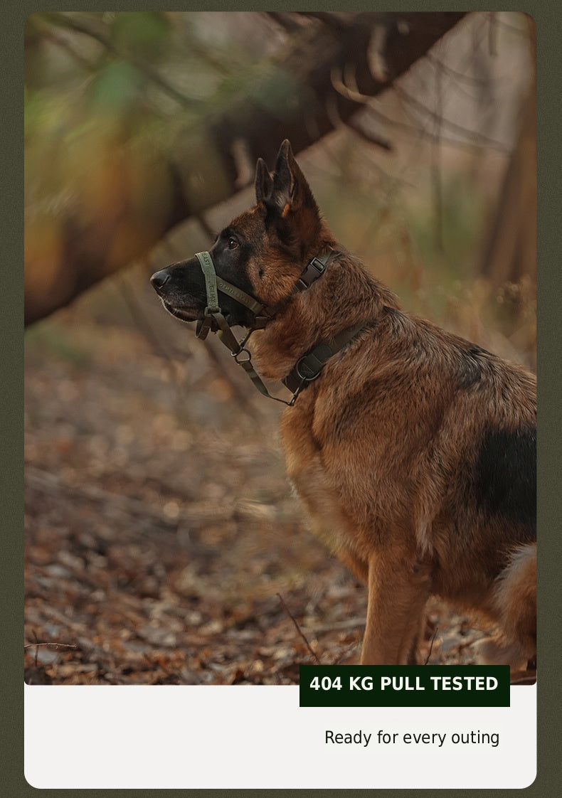 Midnight Walker Dog Leash – Hidden Forest detail image 18