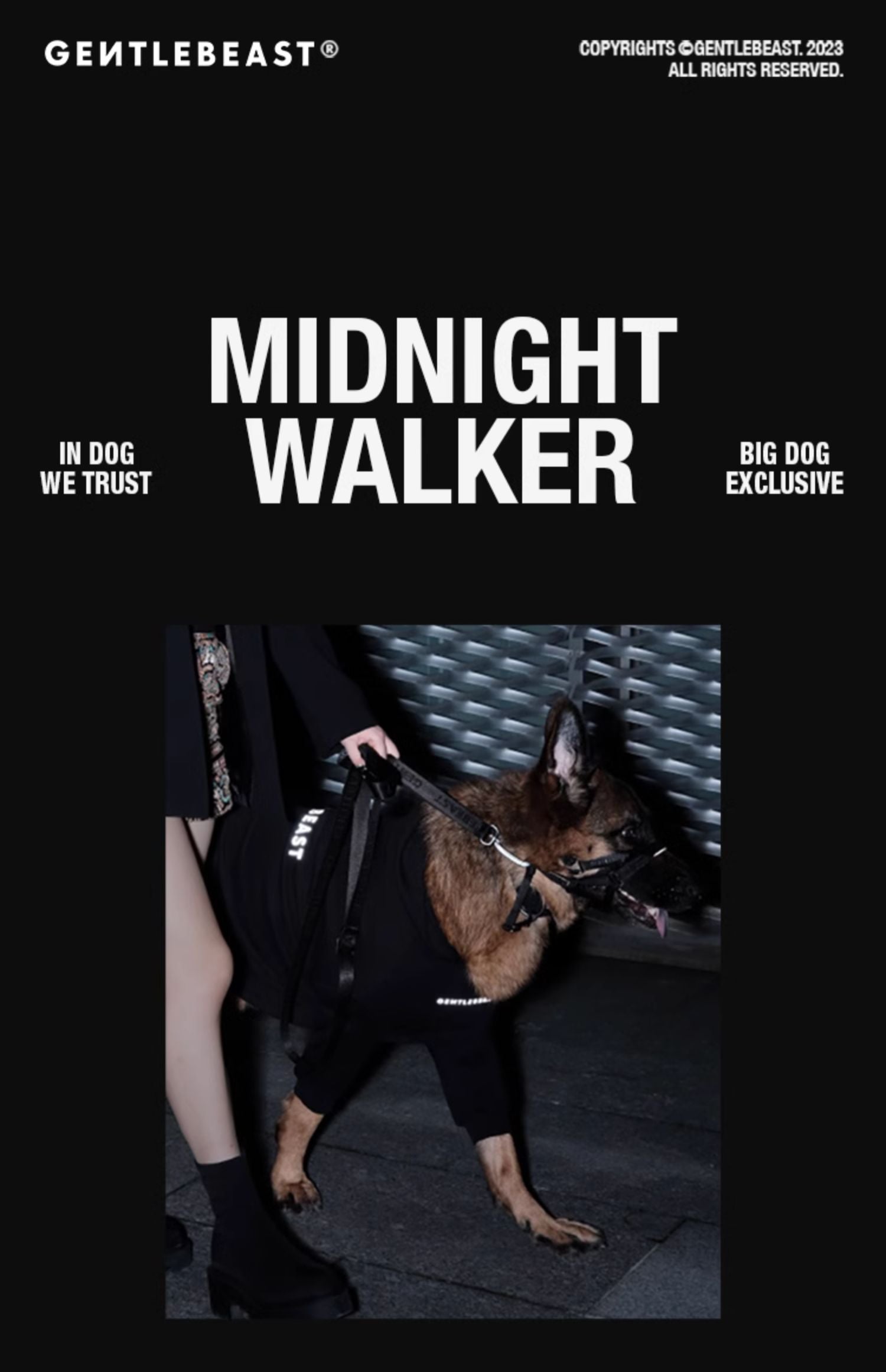 Midnight Walker Dog Leash – Moonless Night detail image 1