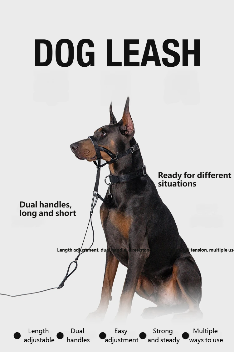 Midnight Walker Dog Leash – Moonless Night detail image 3
