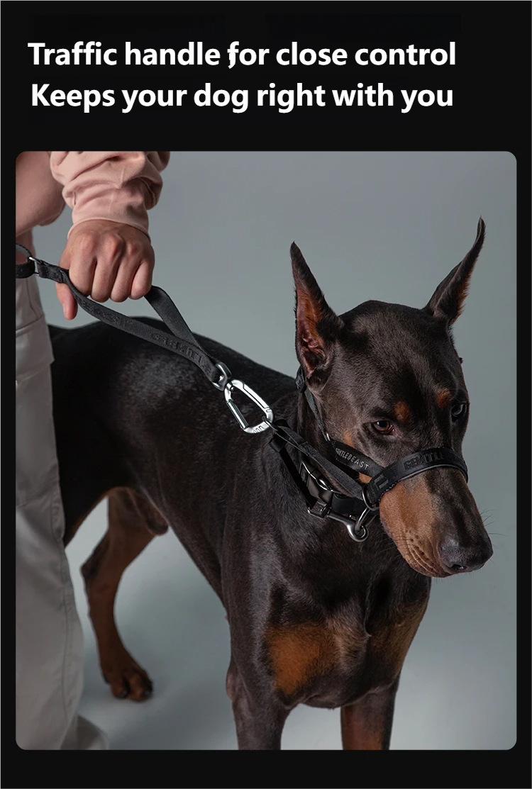 Midnight Walker Dog Leash – Moonless Night detail image 6