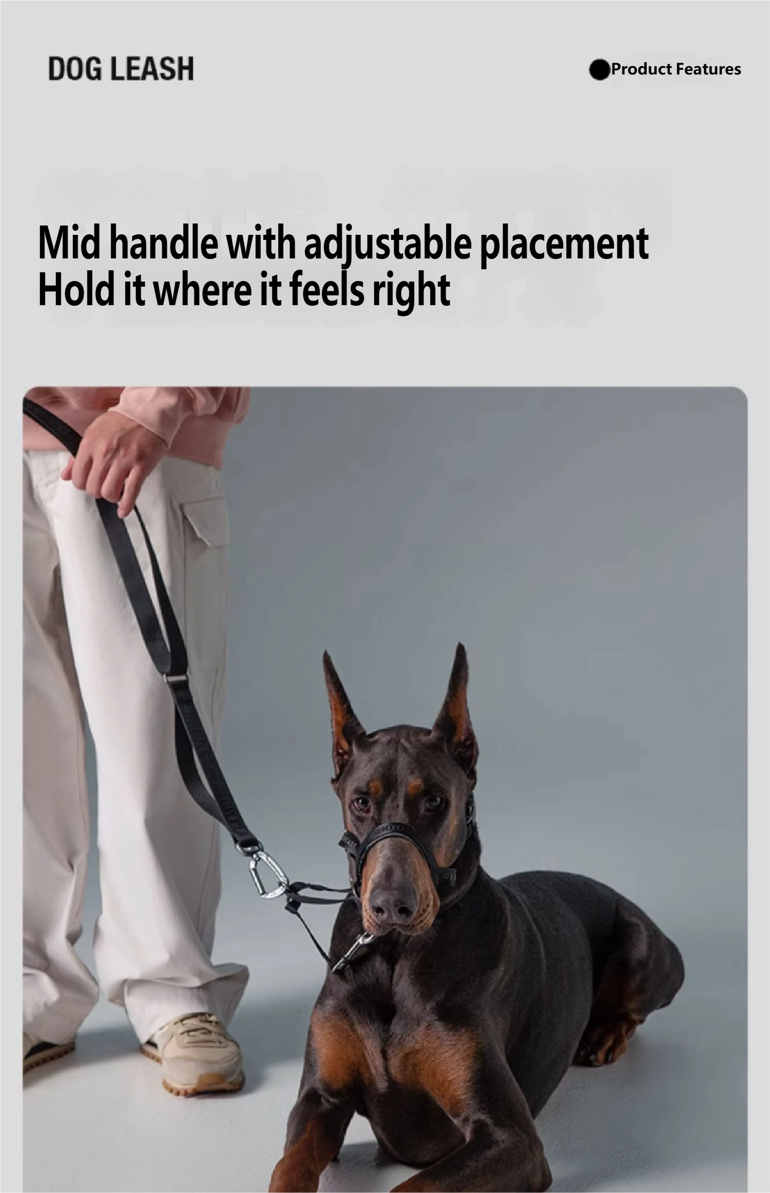 Midnight Walker Dog Leash – Moonless Night detail image 7