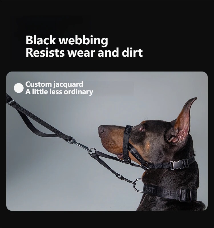 Midnight Walker Dog Leash – Moonless Night detail image 10