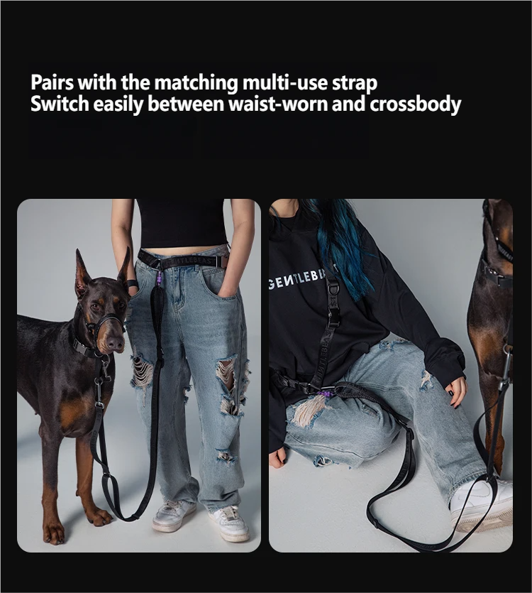 Midnight Walker Dog Leash – Moonless Night detail image 12
