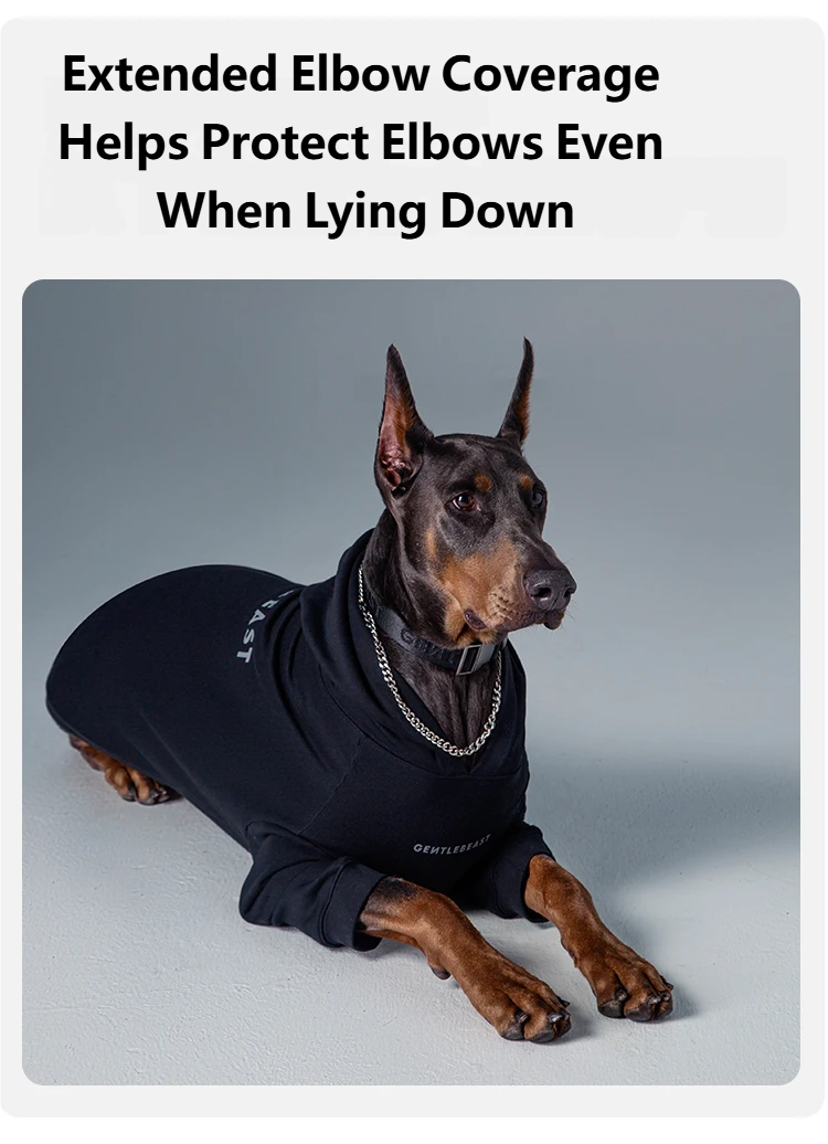 Gentle Hoodie For Dogs – Dusty Pink detail image 9