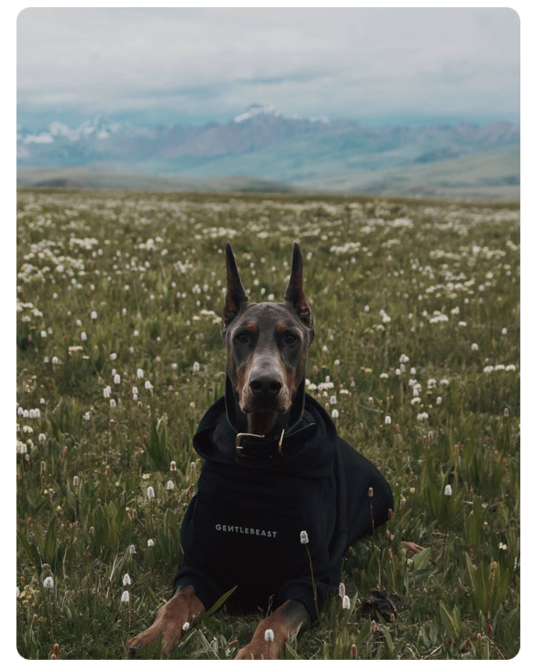 Gentle Hoodie For Dogs – Just Black detail image 11